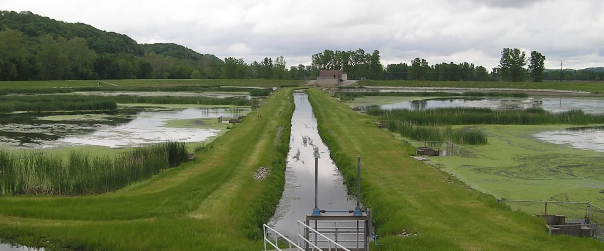 Constructed Wetlands in Wastewater Treatment: Nature’s Solution for Water Purification