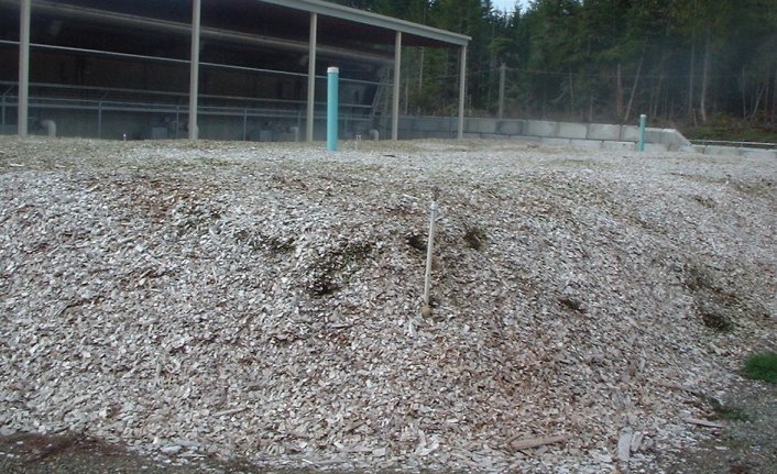 Pile of wood chips in front of a sheltered area surrounded by trees.