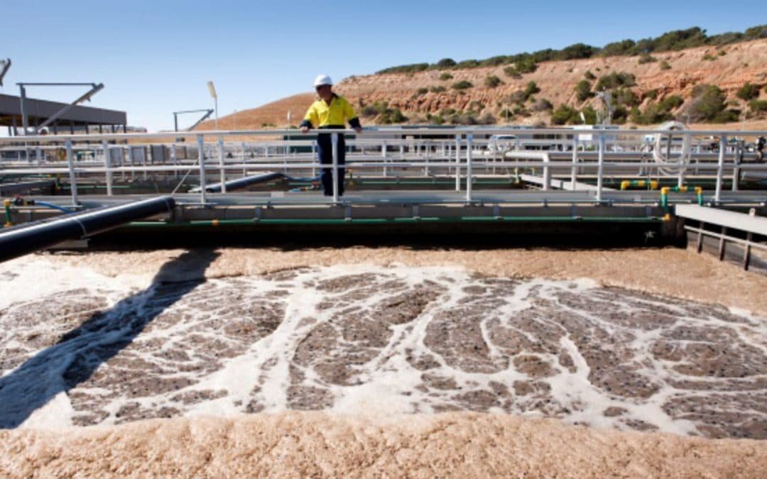 Ozonation in Wastewater Treatment: Efficient Disinfection and Organic Removal
