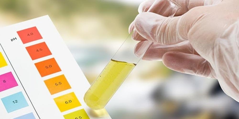 Gloved hand holding a test tube with yellow liquid, next to a pH scale chart indicating acidity levels.
