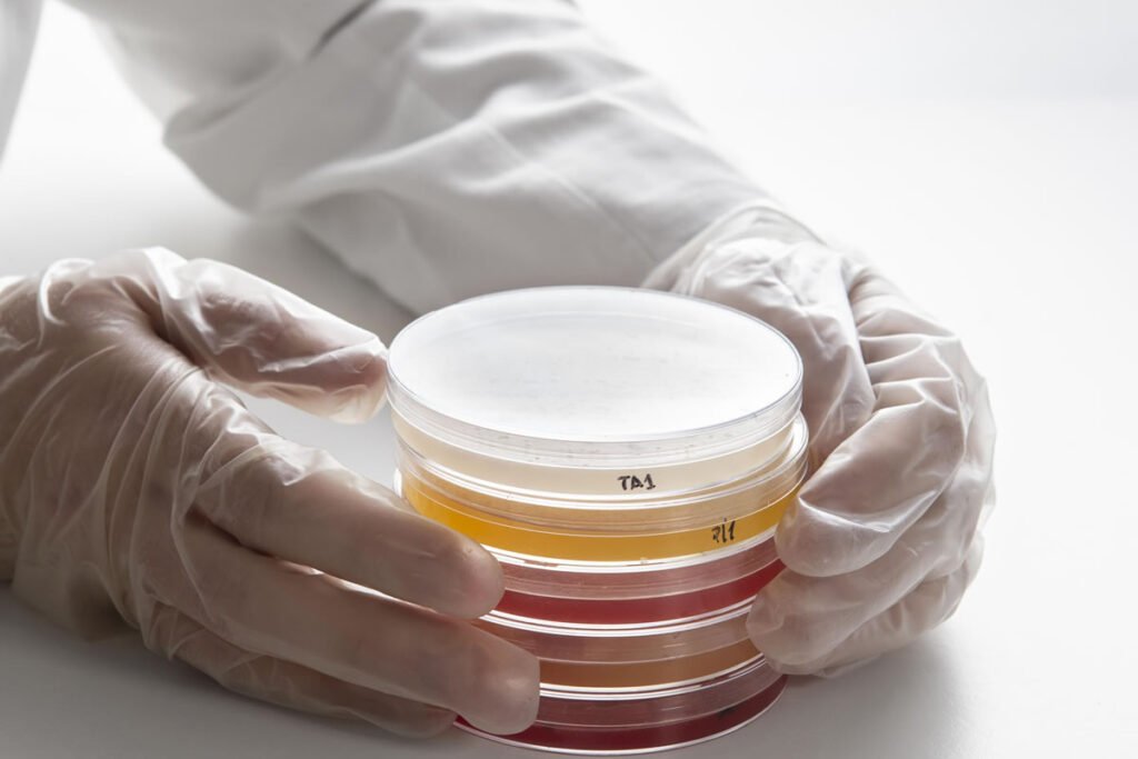 Hands in white gloves delicately hold a stack of petri dishes filled with various colored agar, showcasing the vibrant hues typical in biocides research, against a pristine white surface.