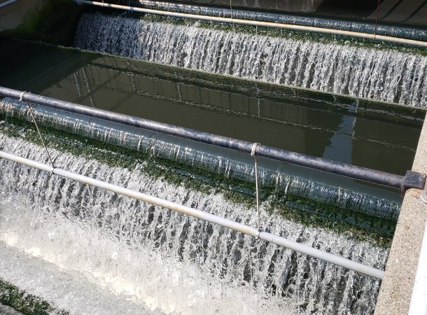 Water flows over rectangular weirs at a wastewater treatment facility, creating a series of small waterfalls. Metal pipes run horizontally across each section, aiding in the dechlorination process. The structures are bordered by concrete edges to manage effluent discharge efficiently.